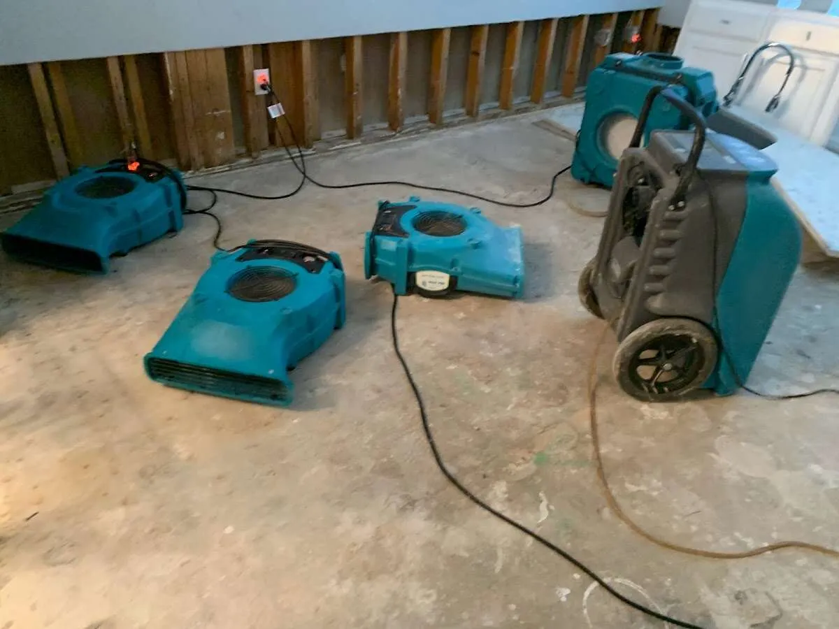 Water Damage Restoration services in Whitehouse, OH